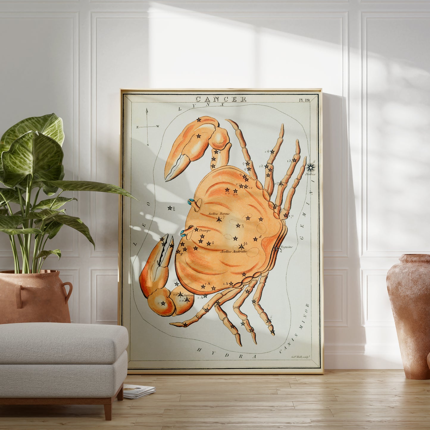 Vintage Cancer Constellation Wall Poster Print