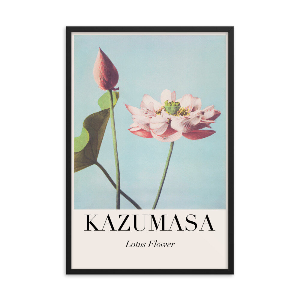 Lotus Flower Art Poster