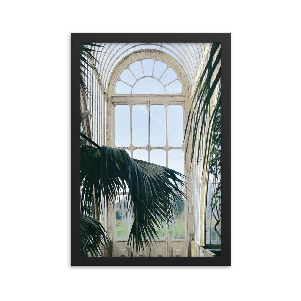 Green Palm Leaf Arch Window Print