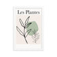 Les Plantes Botanical Poster
