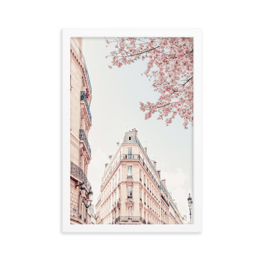 Paris Blossom Poster