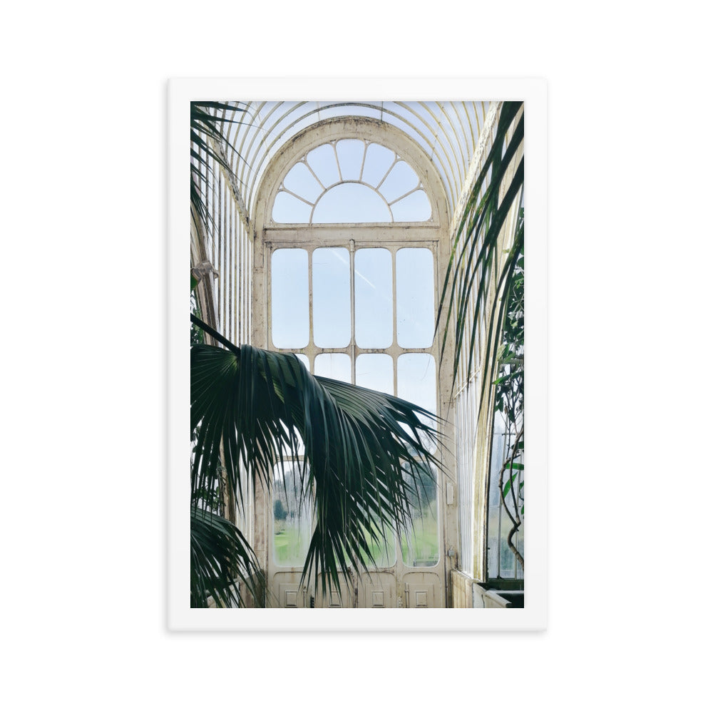 Green Palm Leaf Arch Window Print