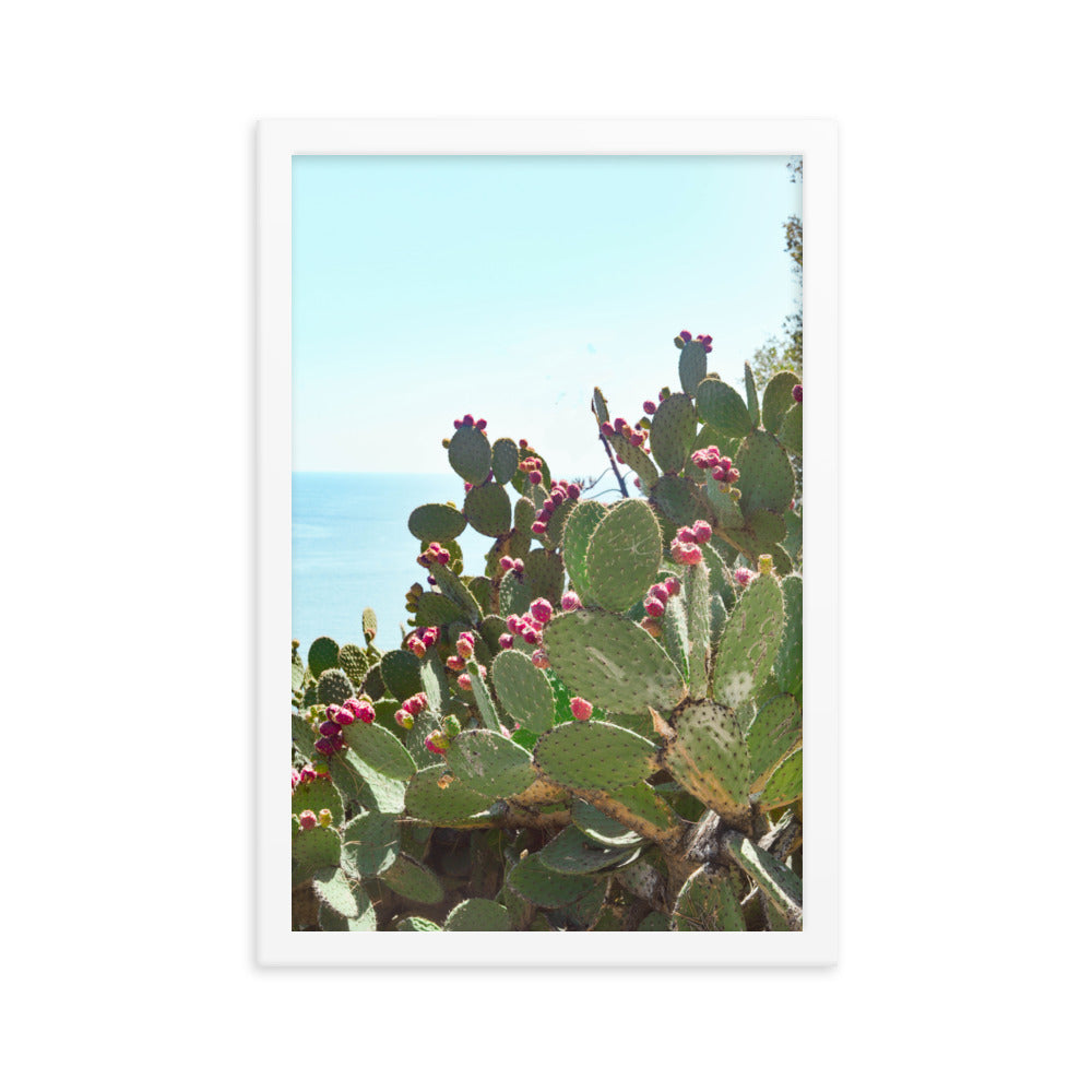 Riviera Cactus Wall Poster Print