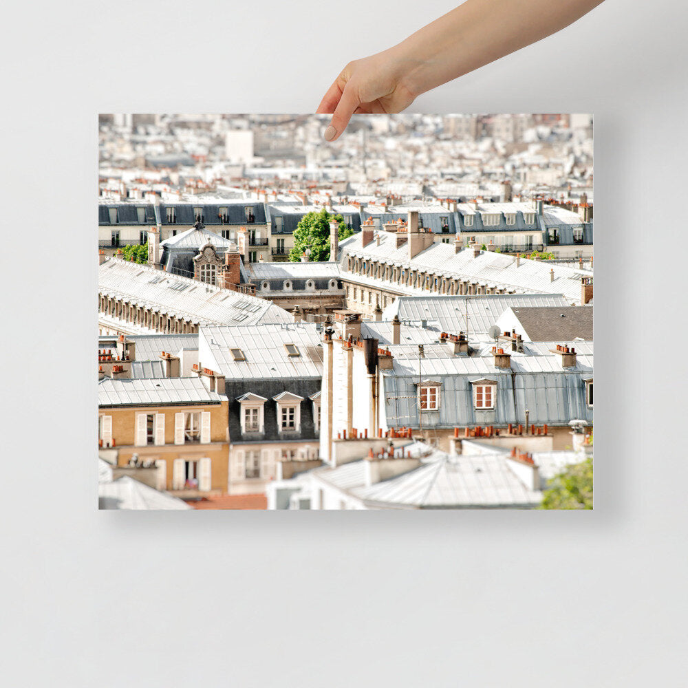 Paris Rooftops Poster