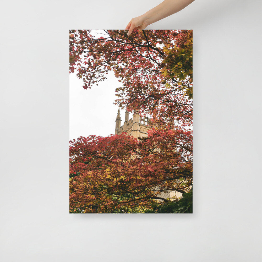 Oxford Autumn Leaves Photographic Poster
