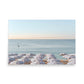 French Riviera Striped Beach Umbrellas Poster
