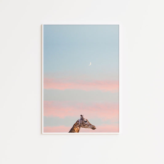 Sunset Giraffe Poster