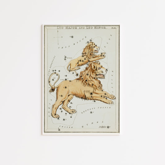 Vintage Leo Constellation Wall Poster Print