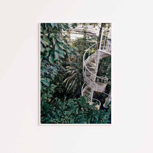 Botanical Palm House Wall Poster Print